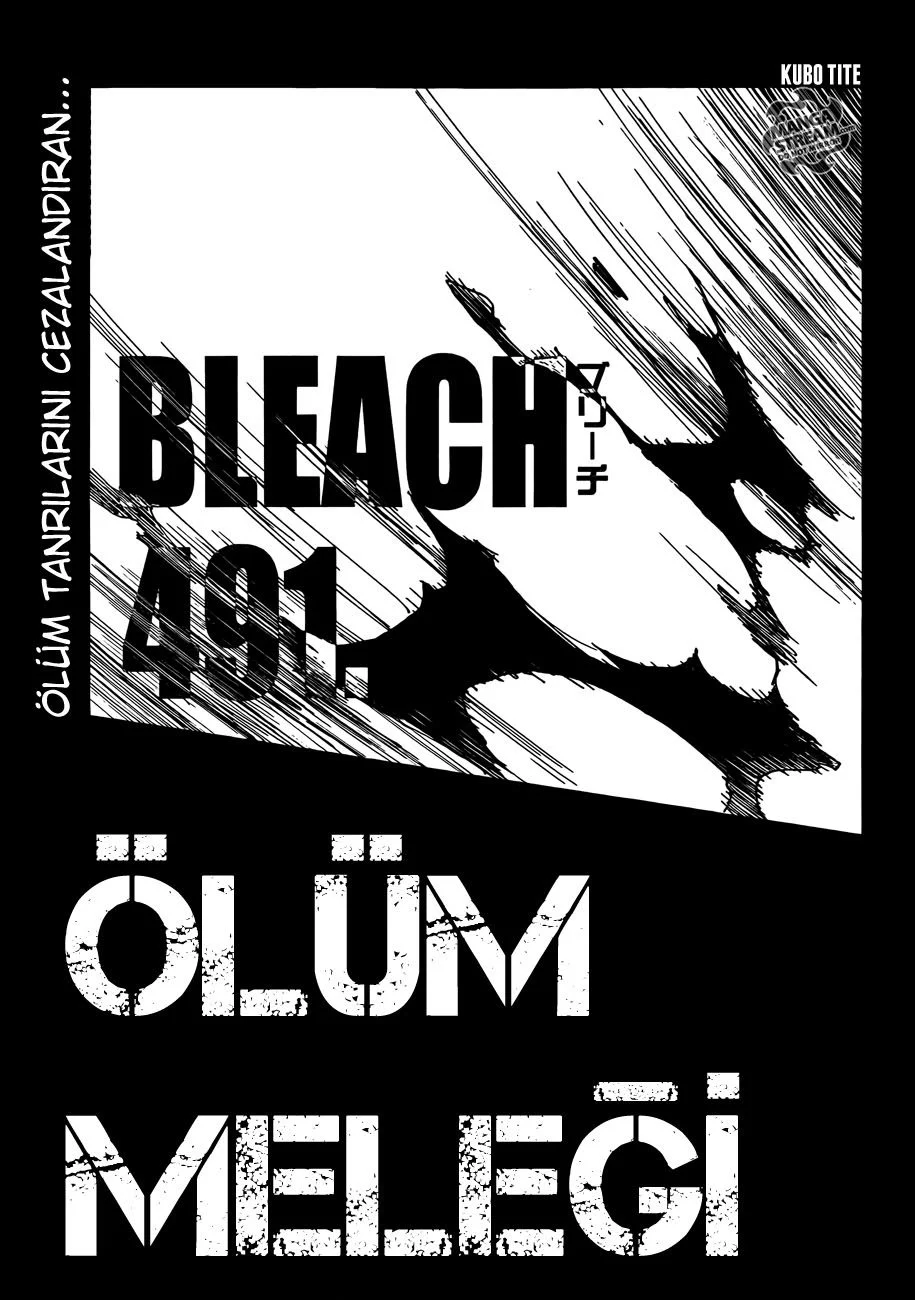 Bleach - Bölüm 491 - Sayfa 4