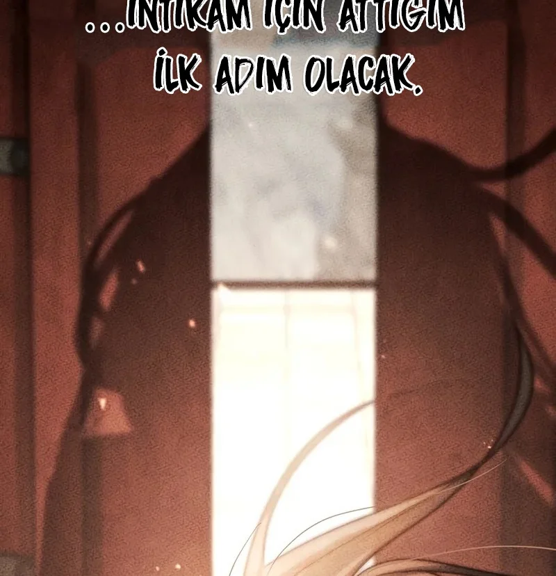 The Divine Demon's Grand Ascension - Bölüm 1 - Sayfa 100