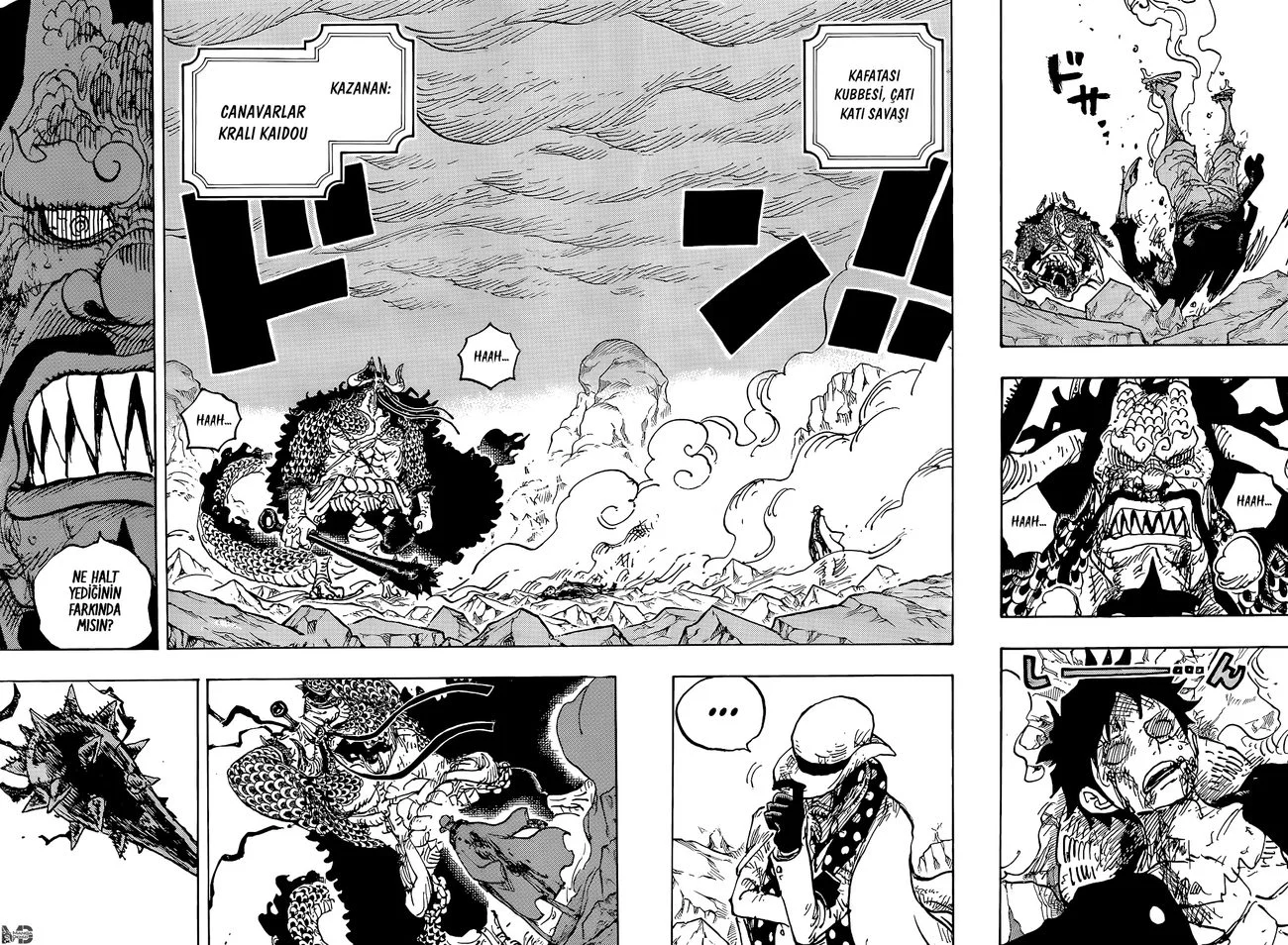 One Piece - Bölüm 1043 - Sayfa 4