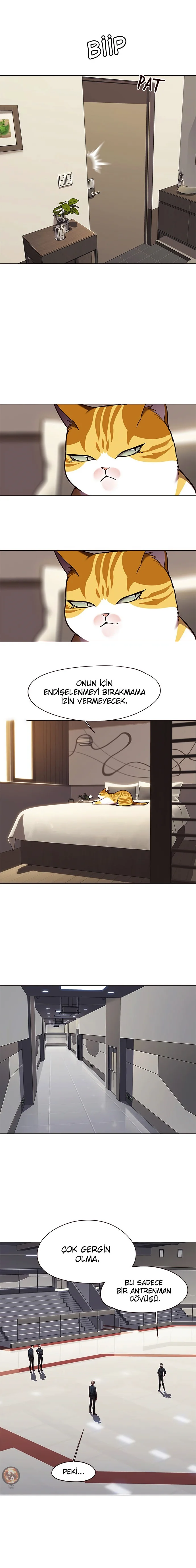 Eleceed - Bölüm 82 - Sayfa 16