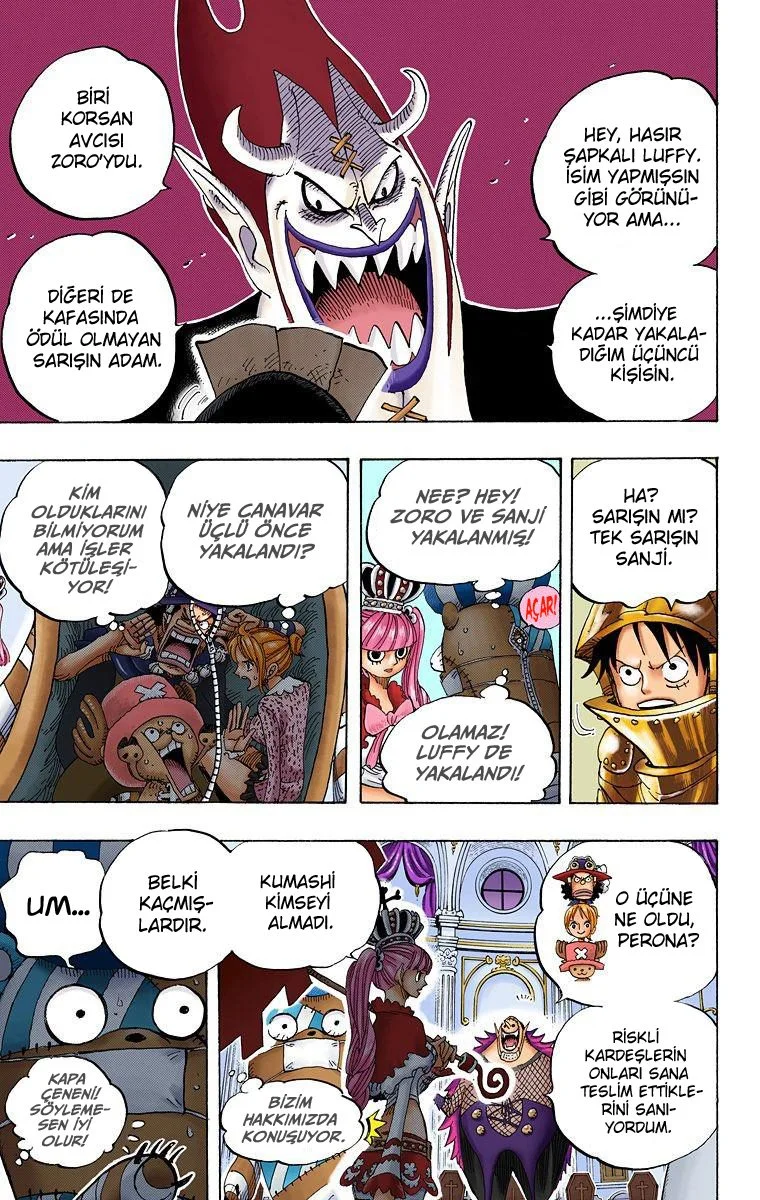 One Piece - Bölüm 455 - Sayfa 14