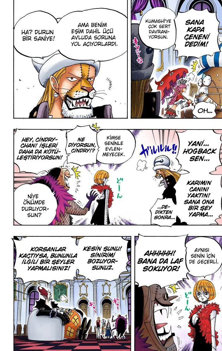 One Piece - Bölüm 455 - Sayfa 15