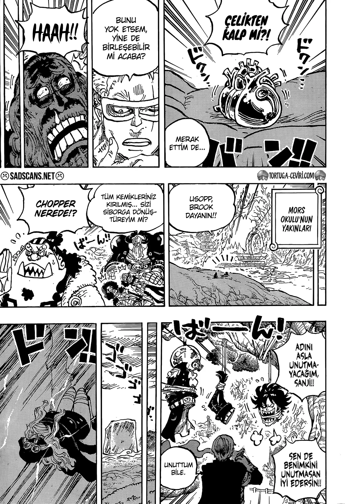 One Piece - Bölüm 1179 - Sayfa 10