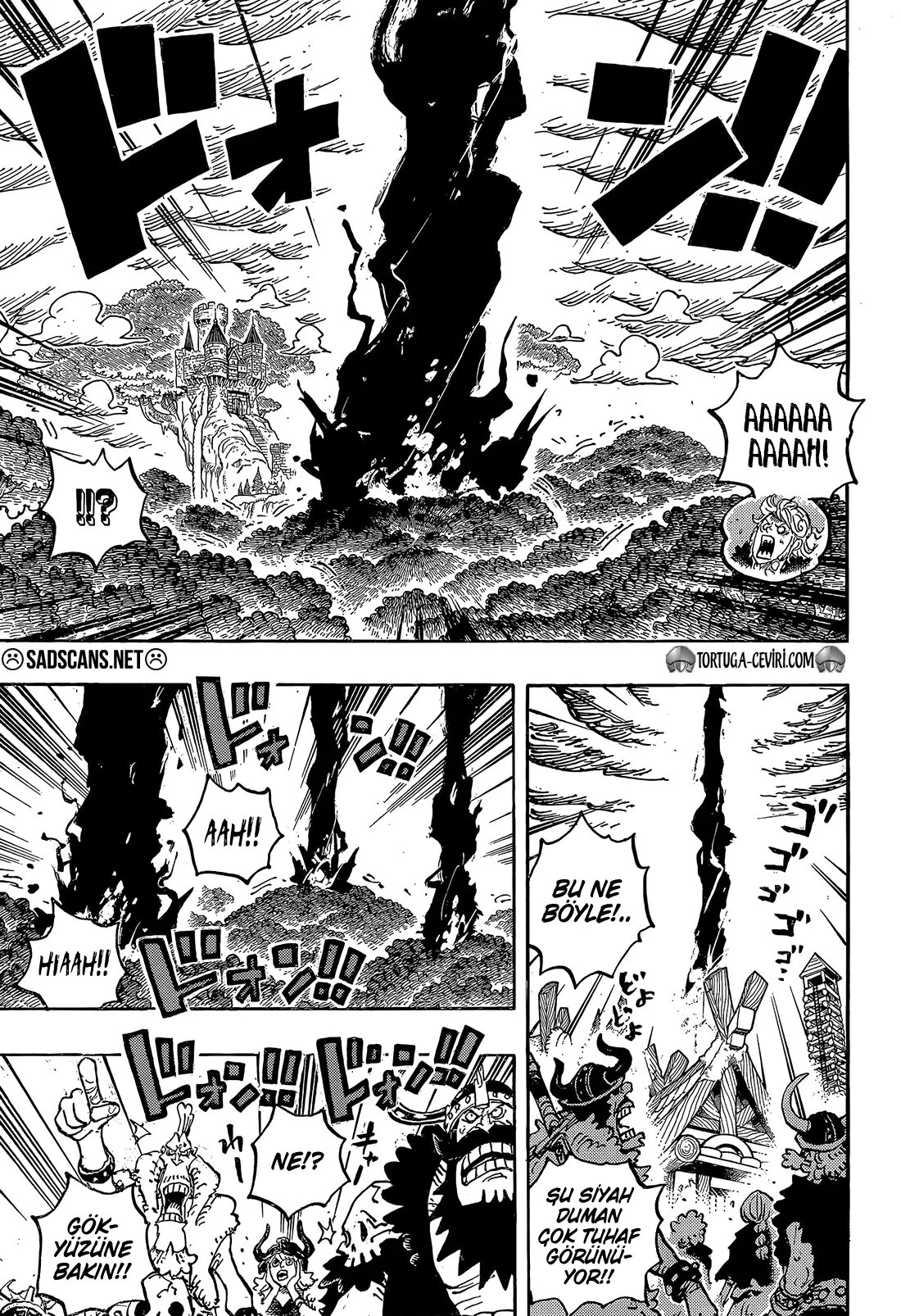 One Piece - Bölüm 1179 - Sayfa 12