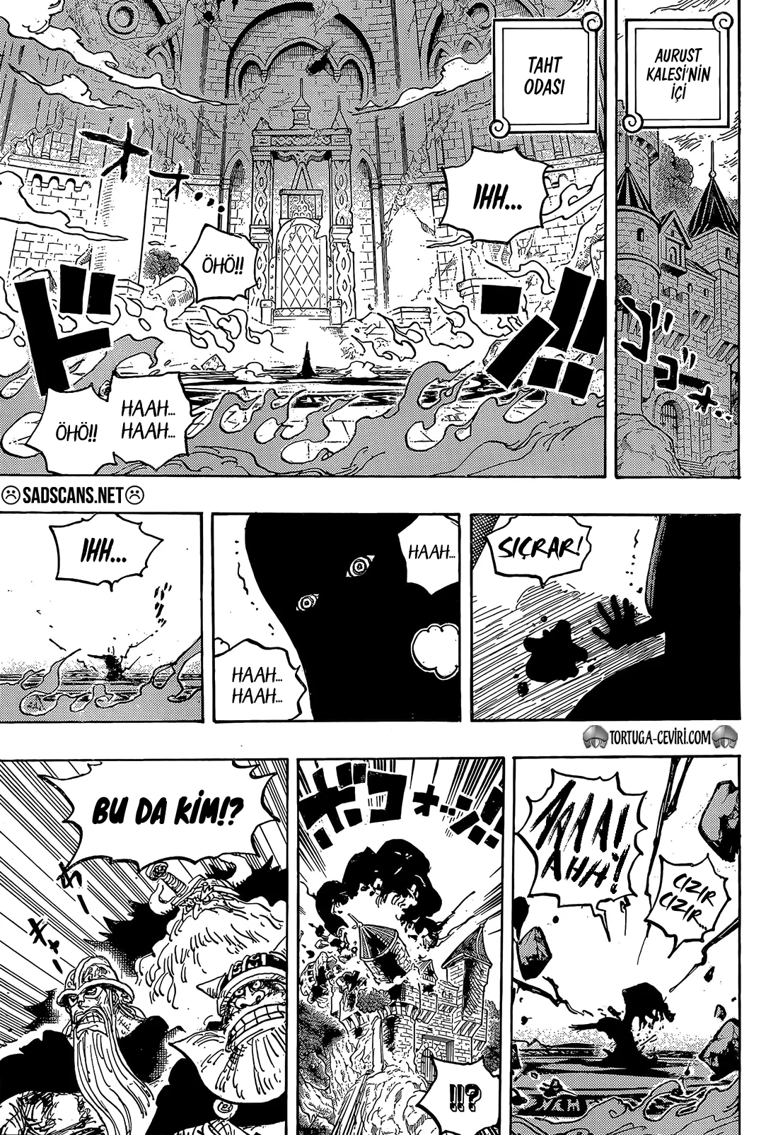 One Piece - Bölüm 1179 - Sayfa 15
