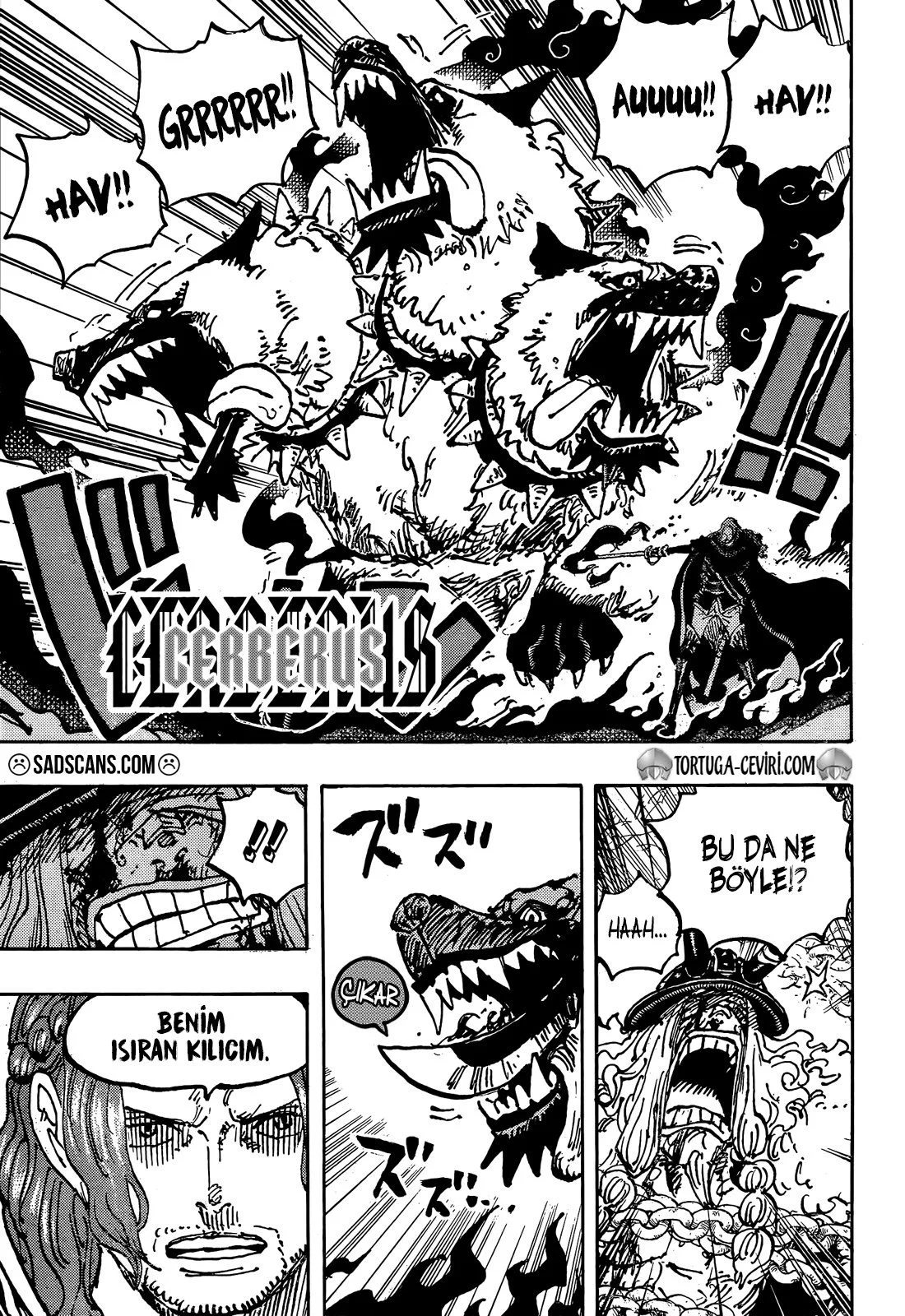 One Piece - Bölüm 1138 - Sayfa 6