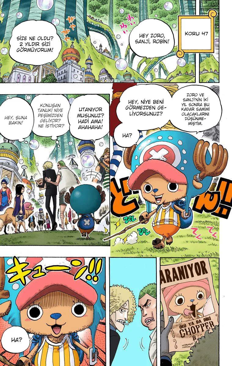 One Piece - Bölüm 598 - Sayfa 17