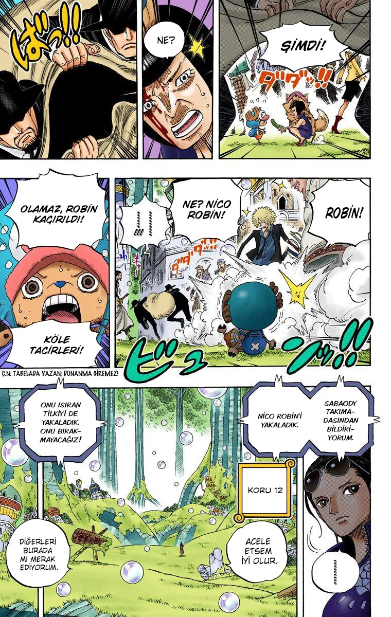 One Piece - Bölüm 598 - Sayfa 19