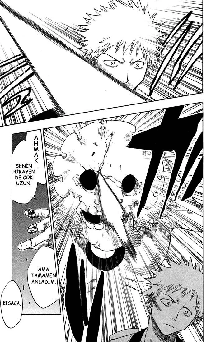 Bleach - Bölüm 47 - Sayfa 12