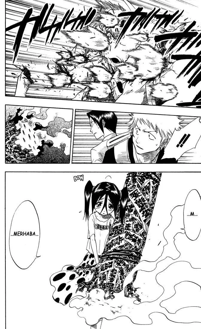Bleach - Bölüm 47 - Sayfa 17