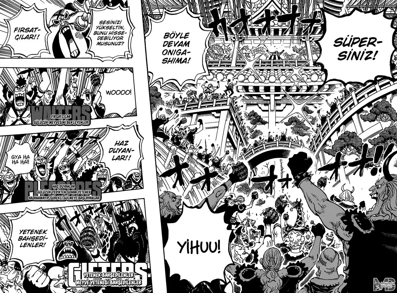 One Piece - Bölüm 978 - Sayfa 11