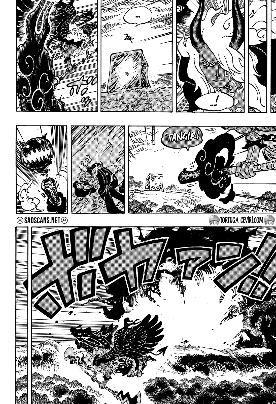 One Piece - Bölüm 1180 - Sayfa 12