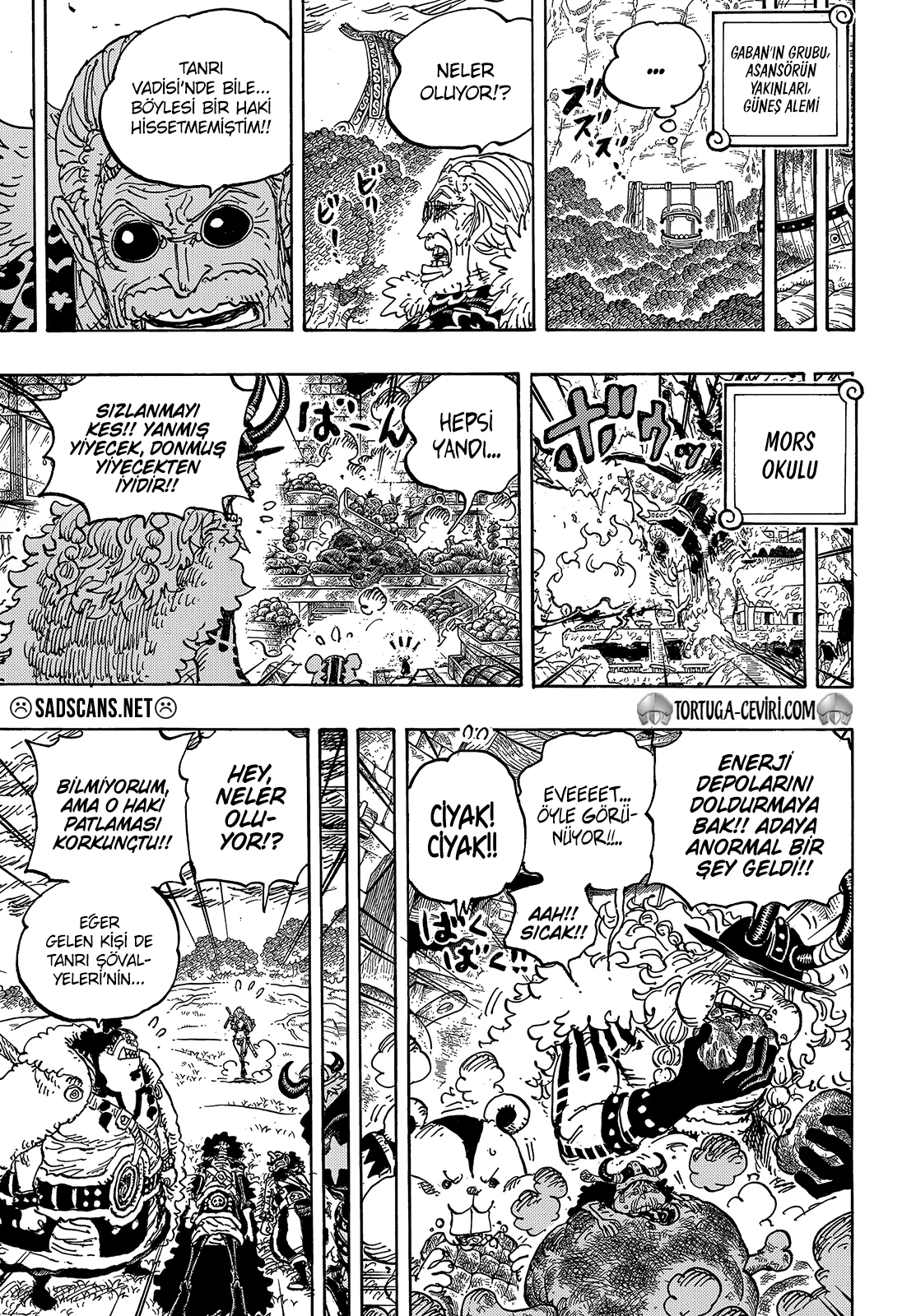One Piece - Bölüm 1180 - Sayfa 13