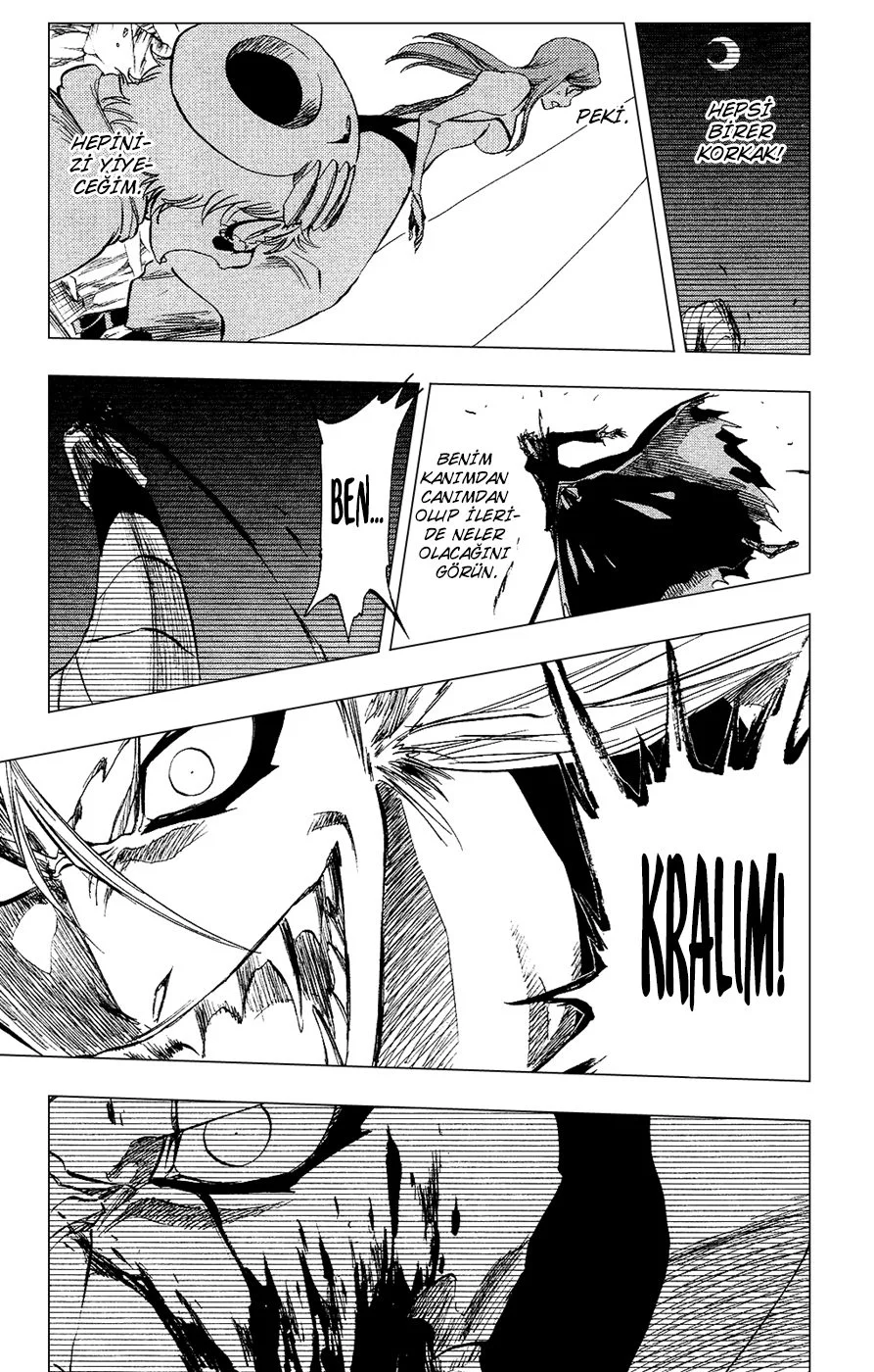 Bleach - Bölüm 285 - Sayfa 10