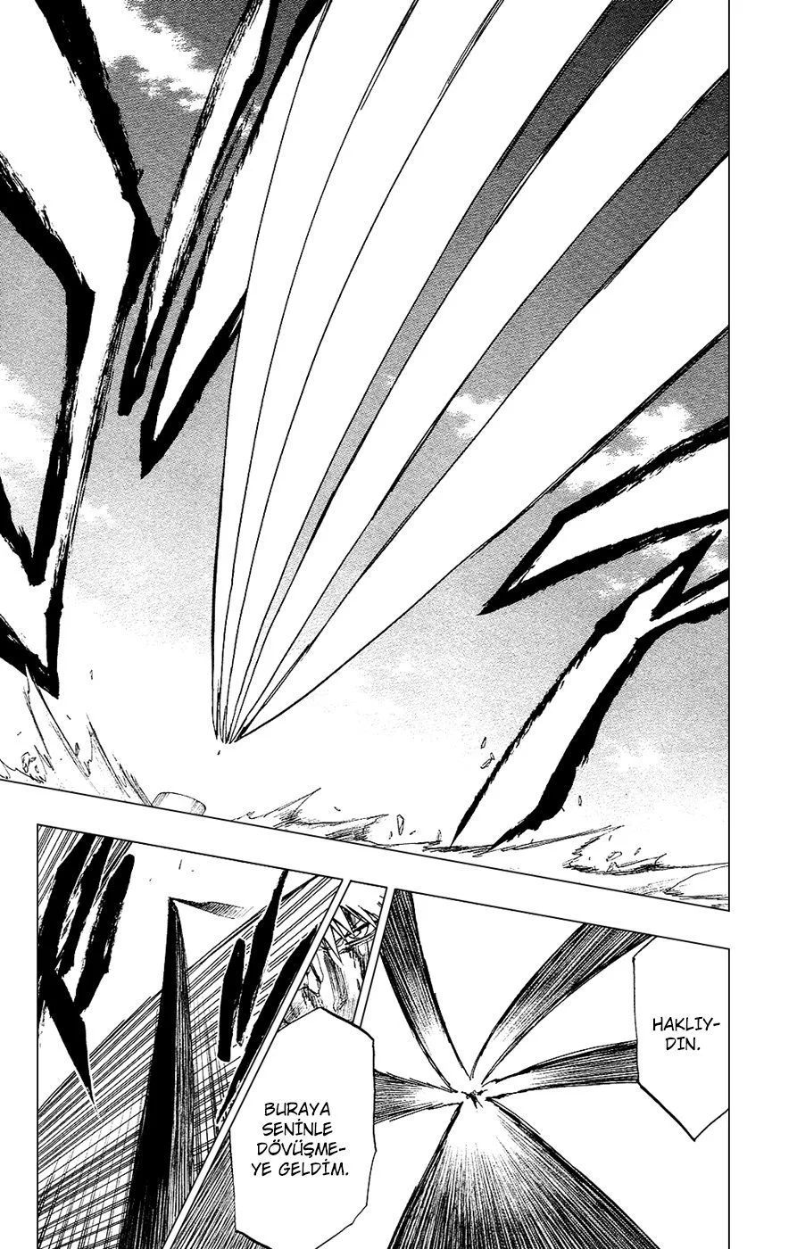 Bleach - Bölüm 285 - Sayfa 14