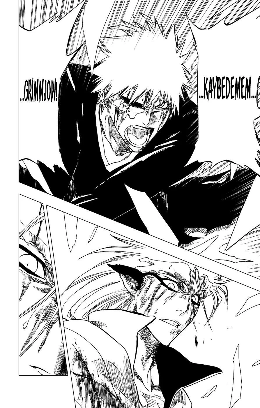 Bleach - Bölüm 285 - Sayfa 17