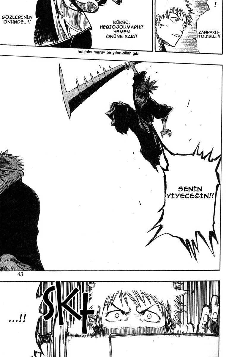 Bleach - Bölüm 54 - Sayfa 17
