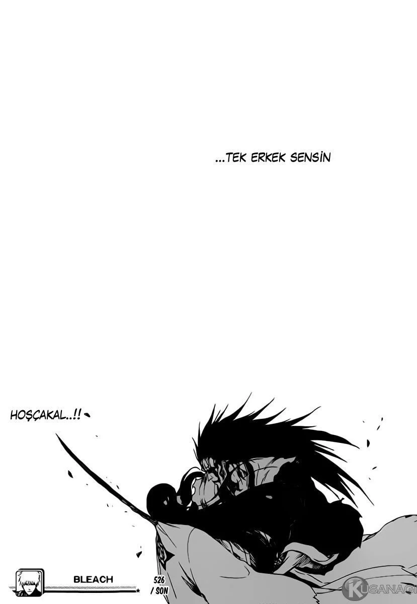 Bleach - Bölüm 526 - Sayfa 17