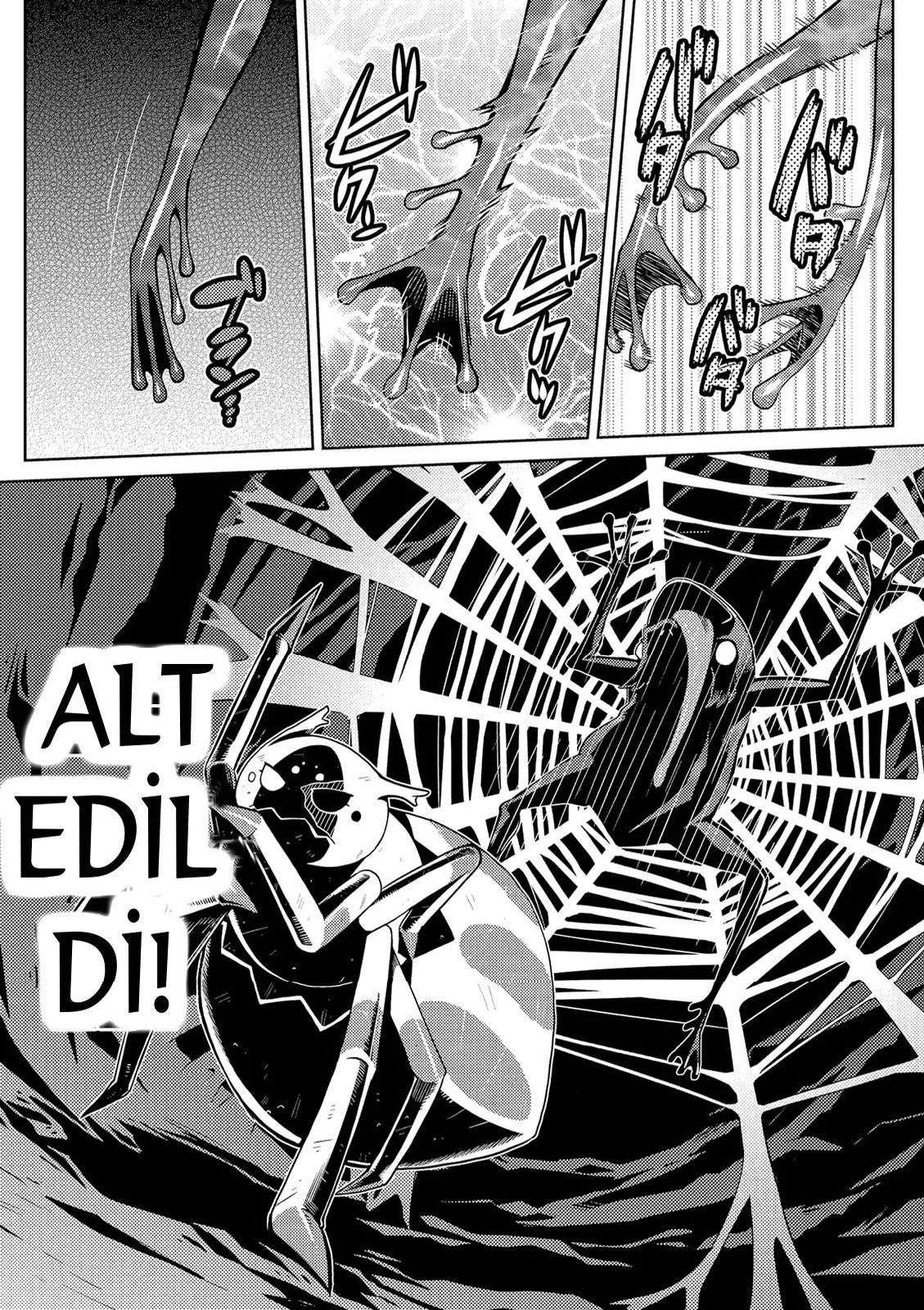 So I'm a Spider, So What? - Bölüm 2 - Sayfa 15