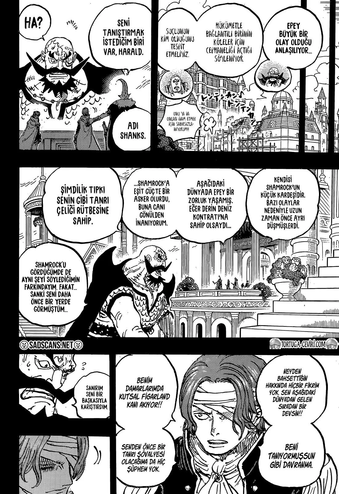 One Piece - Bölüm 1167 - Sayfa 13