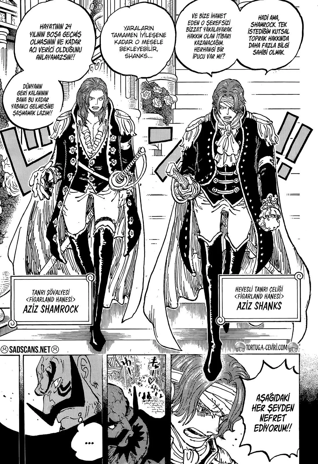 One Piece - Bölüm 1167 - Sayfa 14