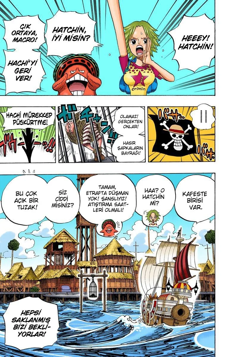 One Piece - Bölüm 492 - Sayfa 11