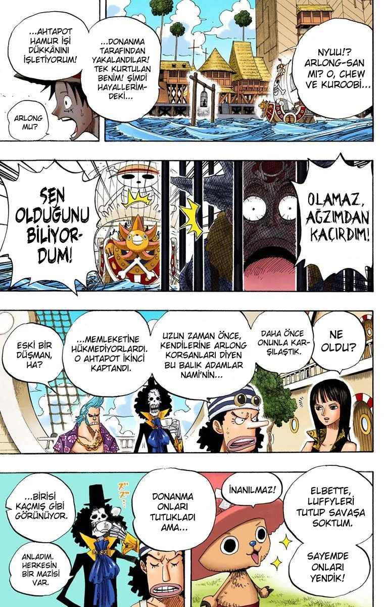 One Piece - Bölüm 492 - Sayfa 13