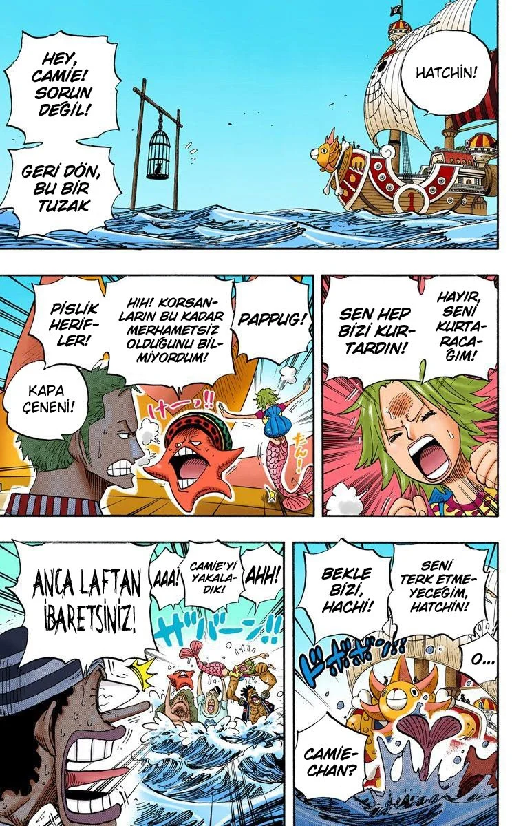One Piece - Bölüm 492 - Sayfa 15