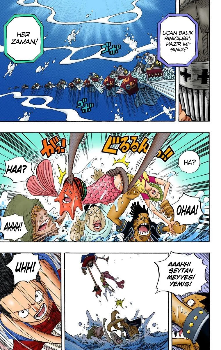 One Piece - Bölüm 492 - Sayfa 17
