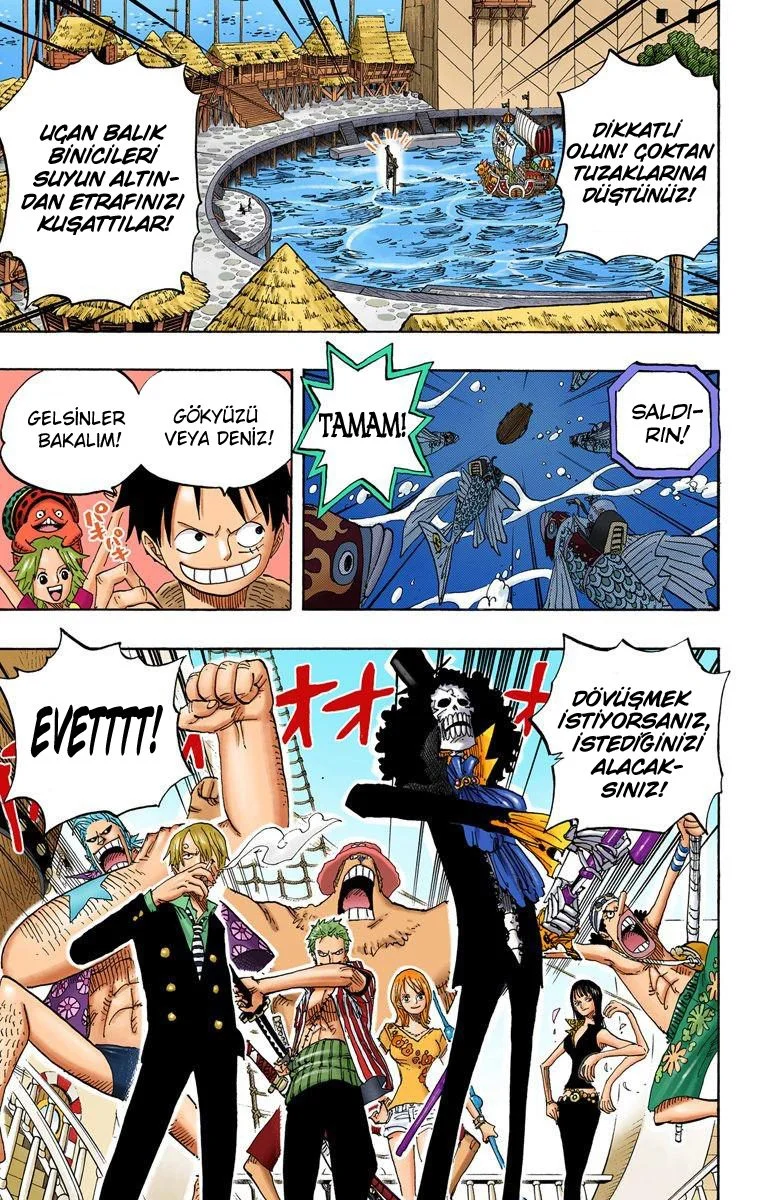 One Piece - Bölüm 492 - Sayfa 19