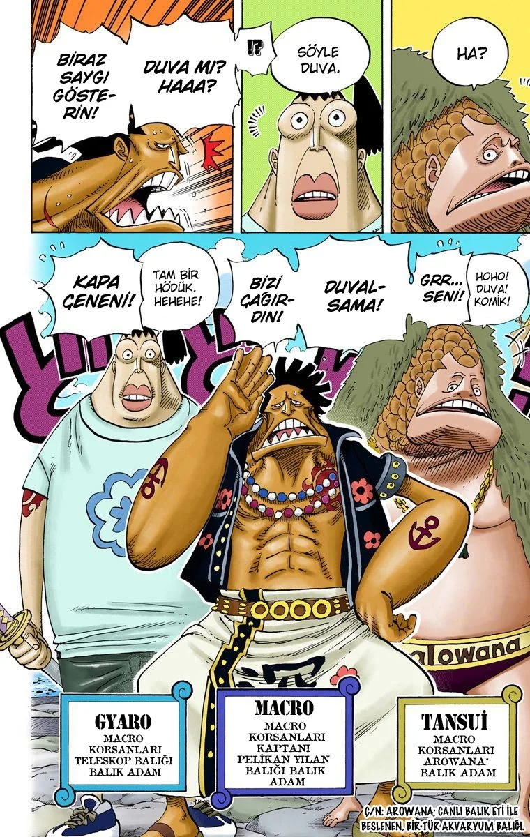 One Piece - Bölüm 492 - Sayfa 6