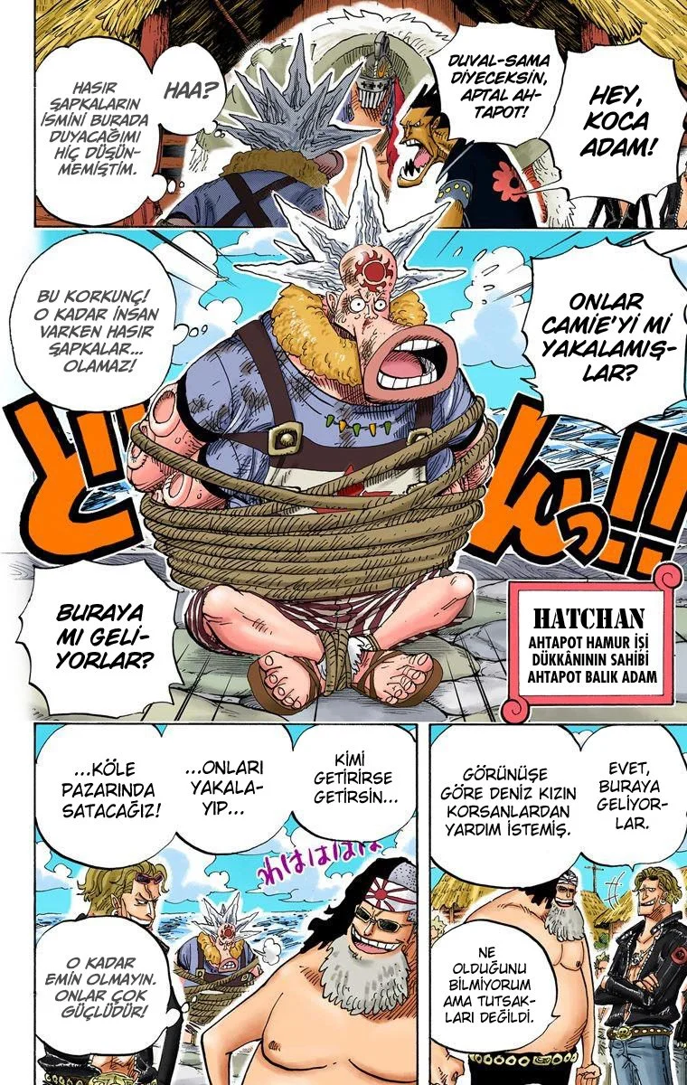 One Piece - Bölüm 492 - Sayfa 8