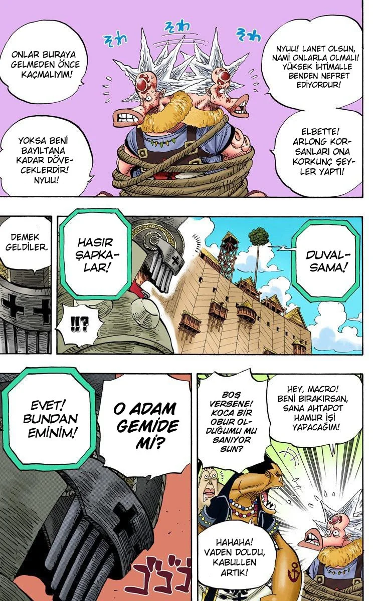One Piece - Bölüm 492 - Sayfa 9