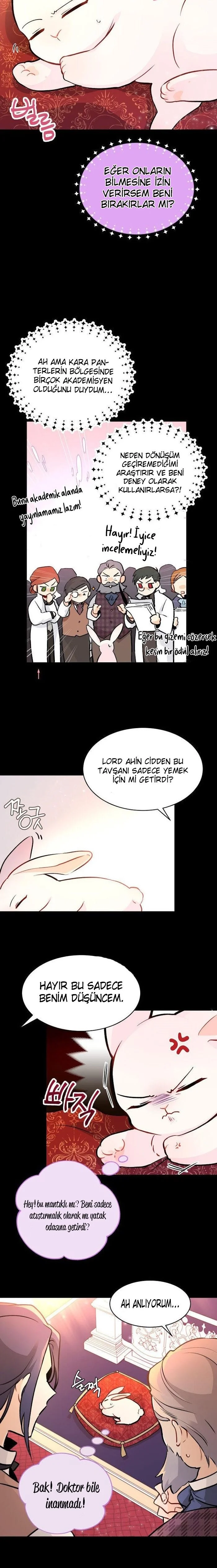 The Symbiotic Relationship Between the Rabbit and the Black Panther - Bölüm 2 - Sayfa 11