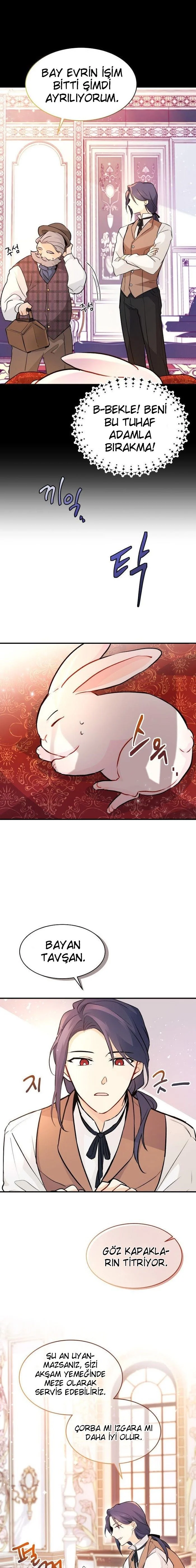 The Symbiotic Relationship Between the Rabbit and the Black Panther - Bölüm 2 - Sayfa 12