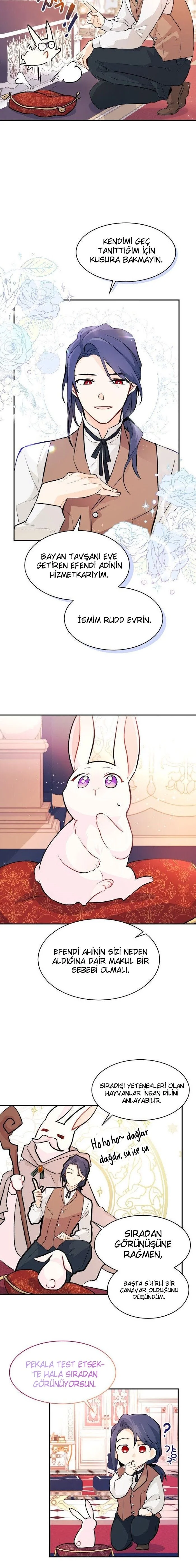 The Symbiotic Relationship Between the Rabbit and the Black Panther - Bölüm 2 - Sayfa 13