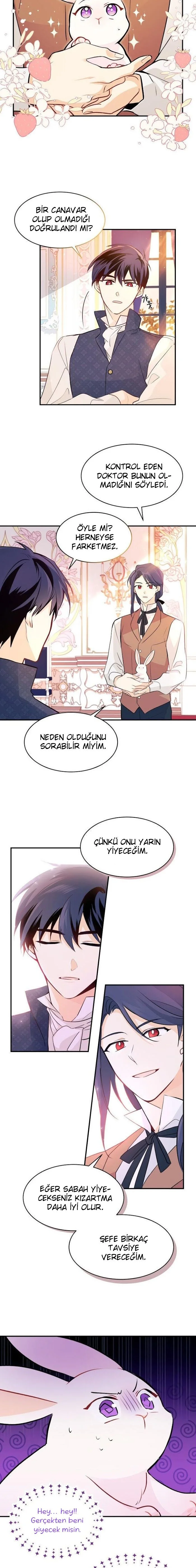 The Symbiotic Relationship Between the Rabbit and the Black Panther - Bölüm 2 - Sayfa 16