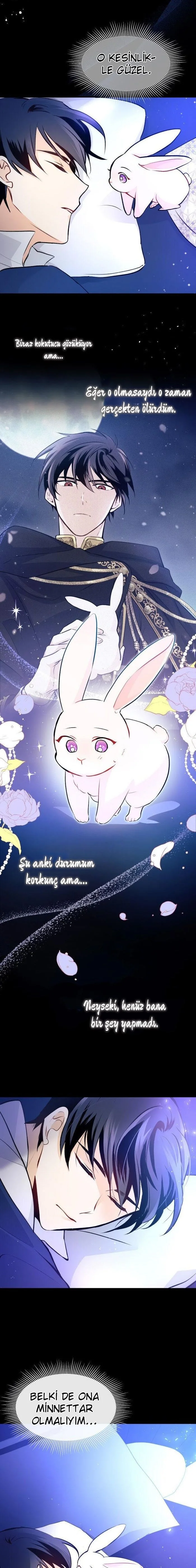 The Symbiotic Relationship Between the Rabbit and the Black Panther - Bölüm 2 - Sayfa 20