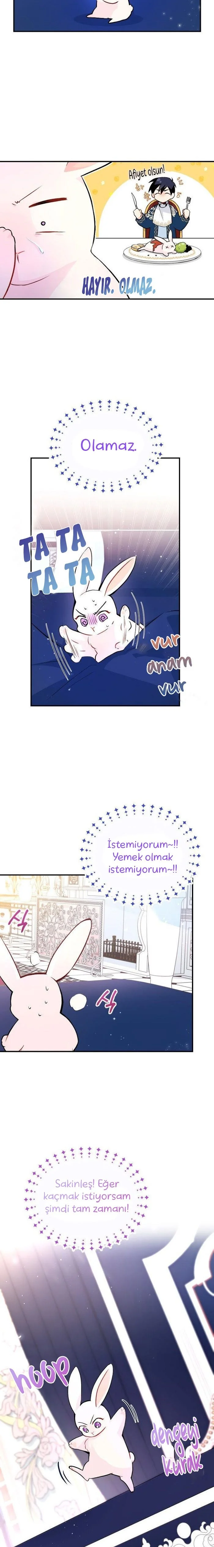 The Symbiotic Relationship Between the Rabbit and the Black Panther - Bölüm 2 - Sayfa 4