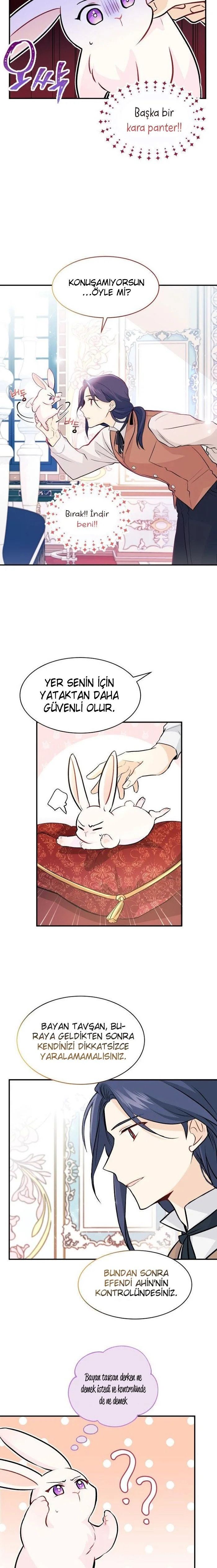 The Symbiotic Relationship Between the Rabbit and the Black Panther - Bölüm 2 - Sayfa 7