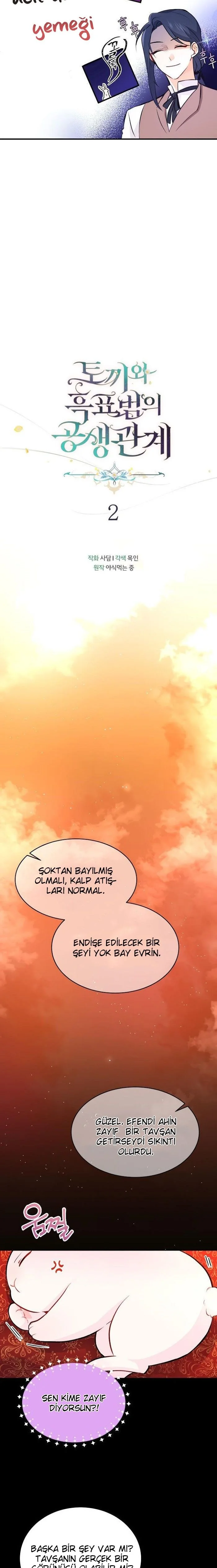 The Symbiotic Relationship Between the Rabbit and the Black Panther - Bölüm 2 - Sayfa 9