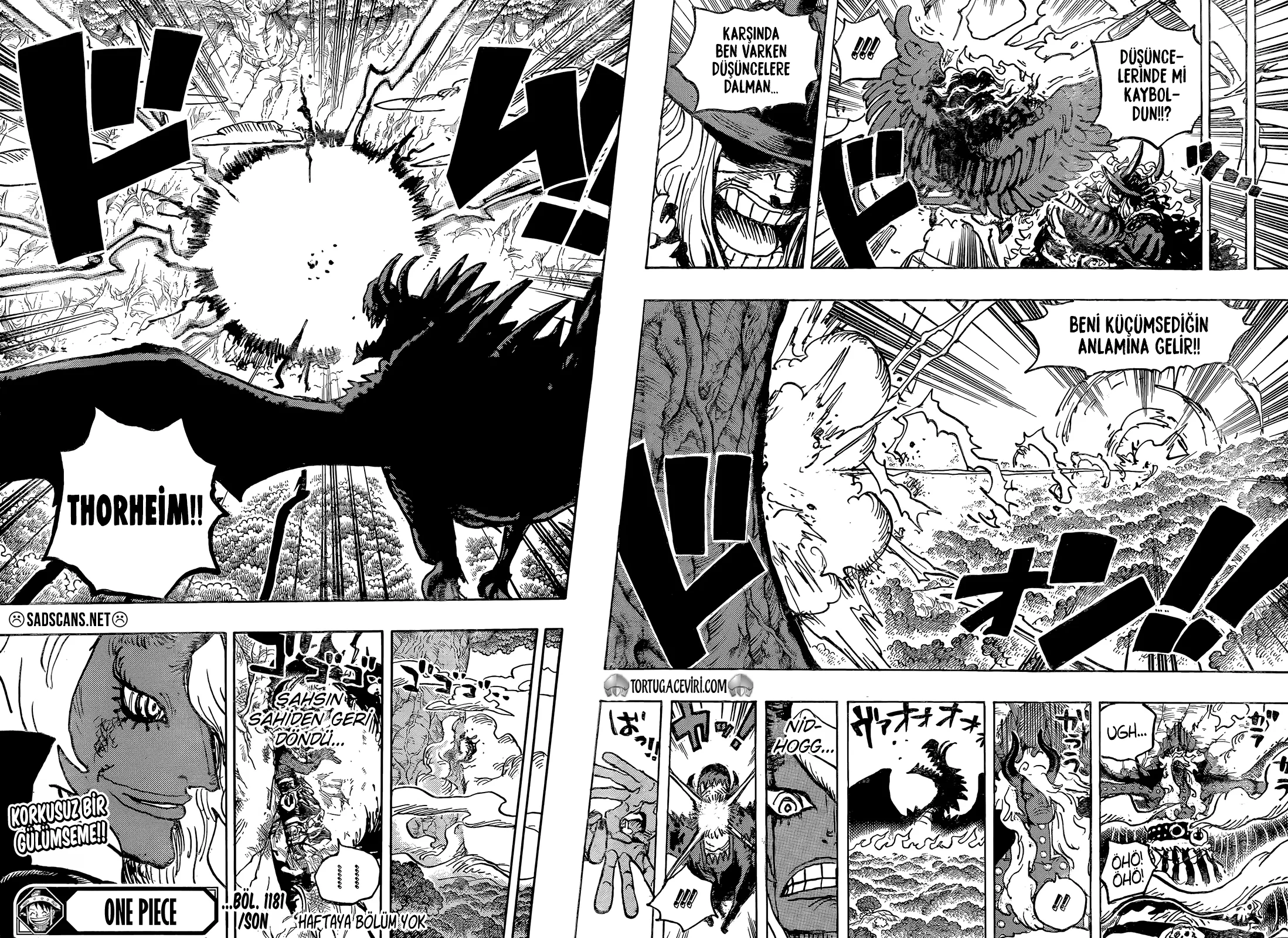 One Piece - Bölüm 1181 - Sayfa 13