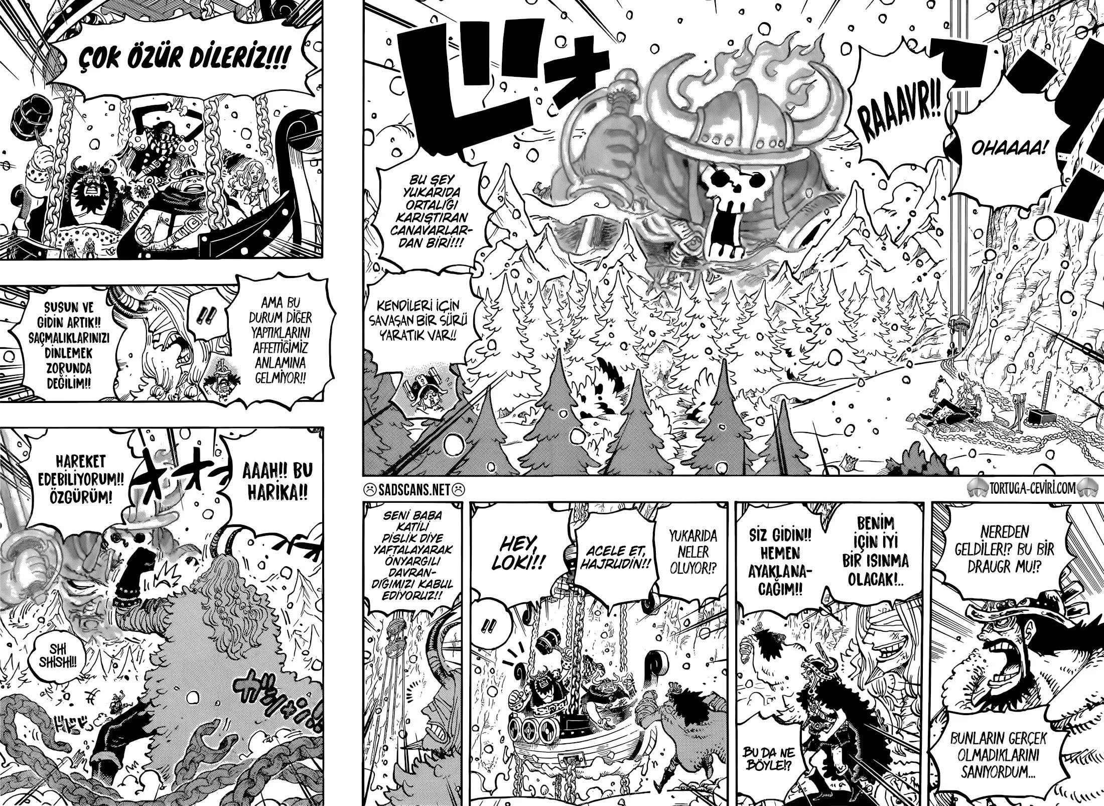 One Piece - Bölüm 1171 - Sayfa 13