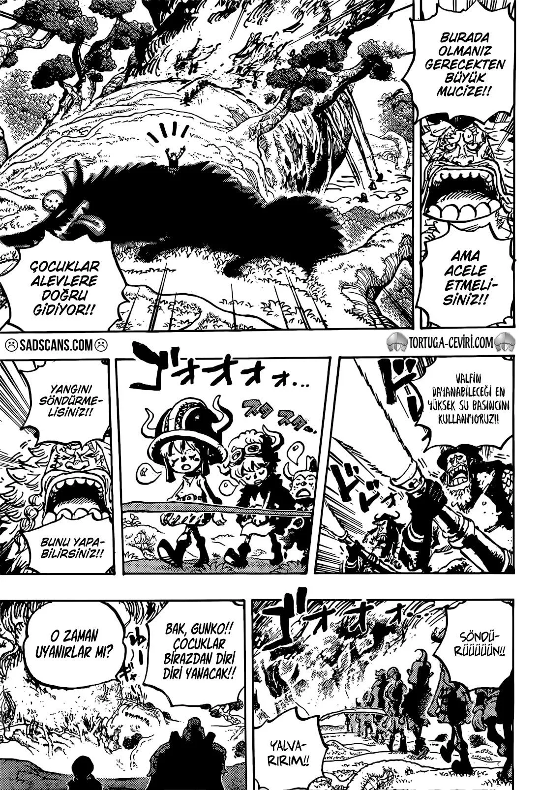 One Piece - Bölüm 1145 - Sayfa 13