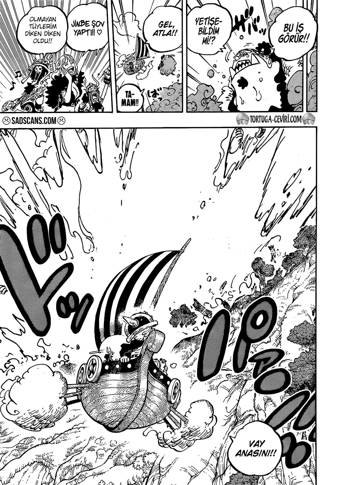 One Piece - Bölüm 1145 - Sayfa 15