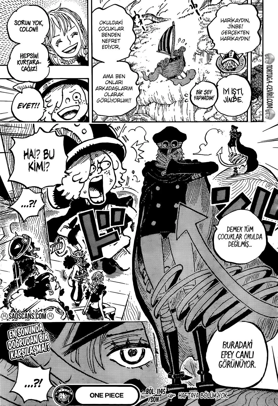 One Piece - Bölüm 1145 - Sayfa 17