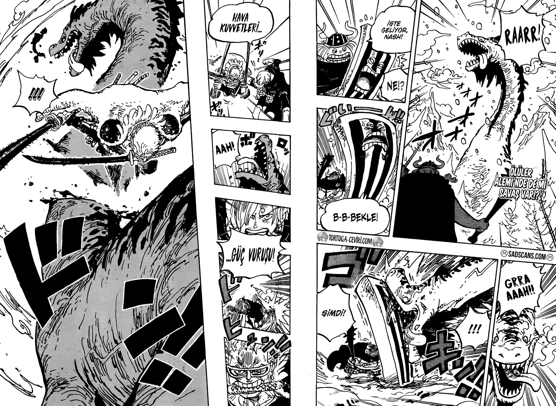 One Piece - Bölüm 1145 - Sayfa 4