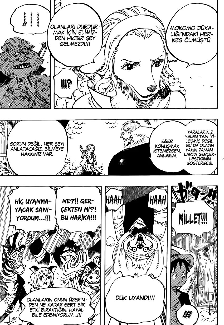 One Piece - Bölüm 807 - Sayfa 13