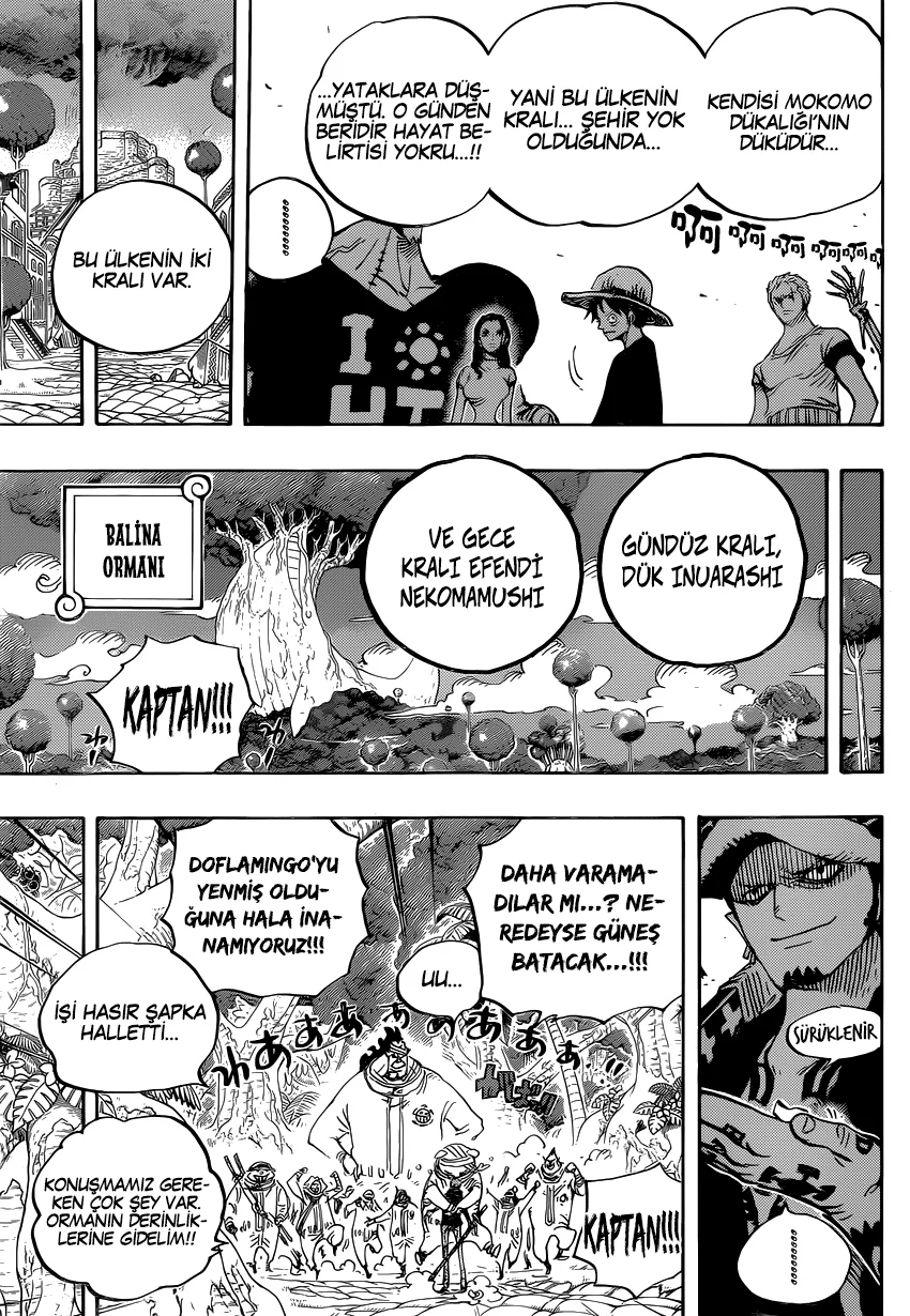 One Piece - Bölüm 807 - Sayfa 15