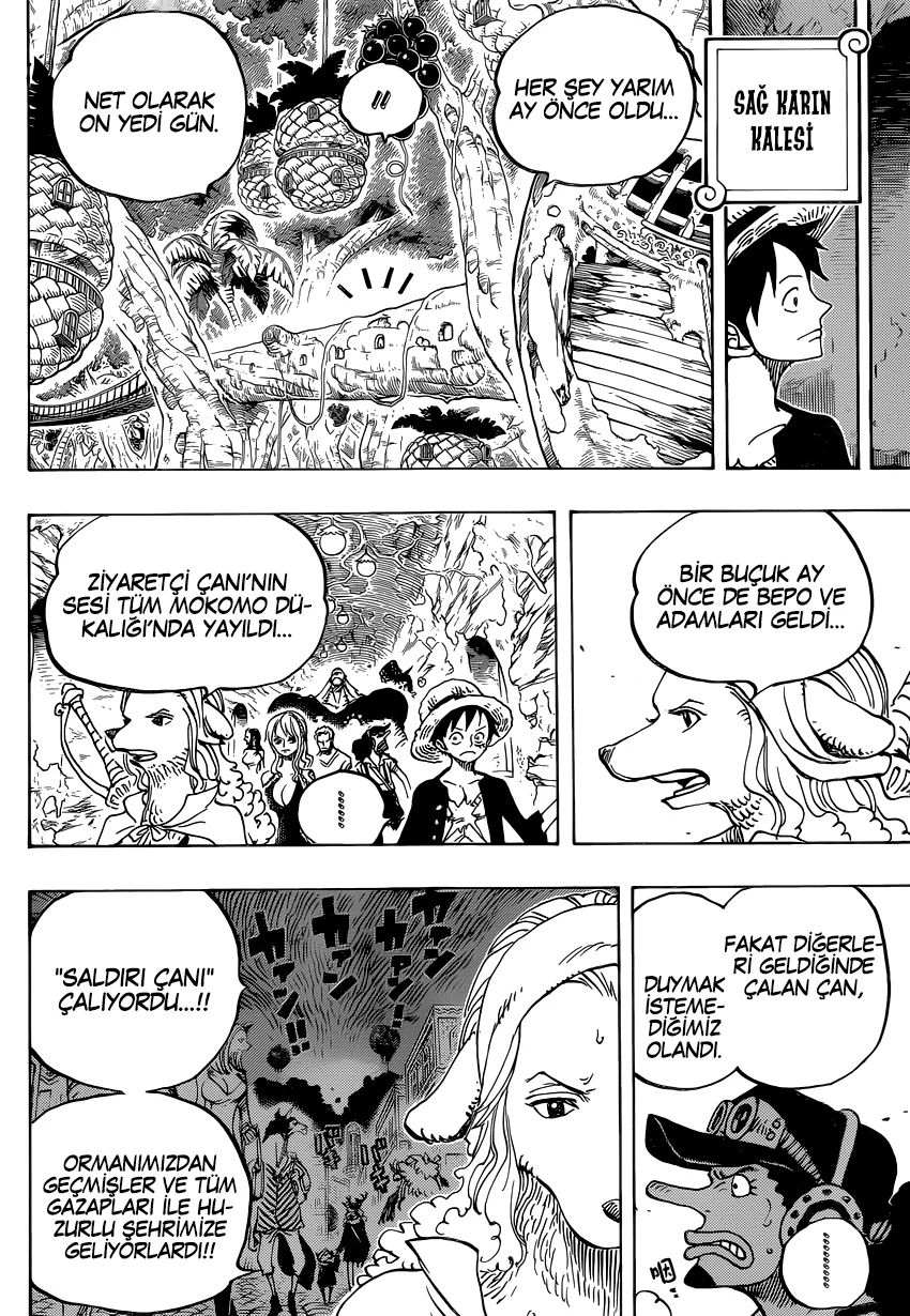 One Piece - Bölüm 807 - Sayfa 16